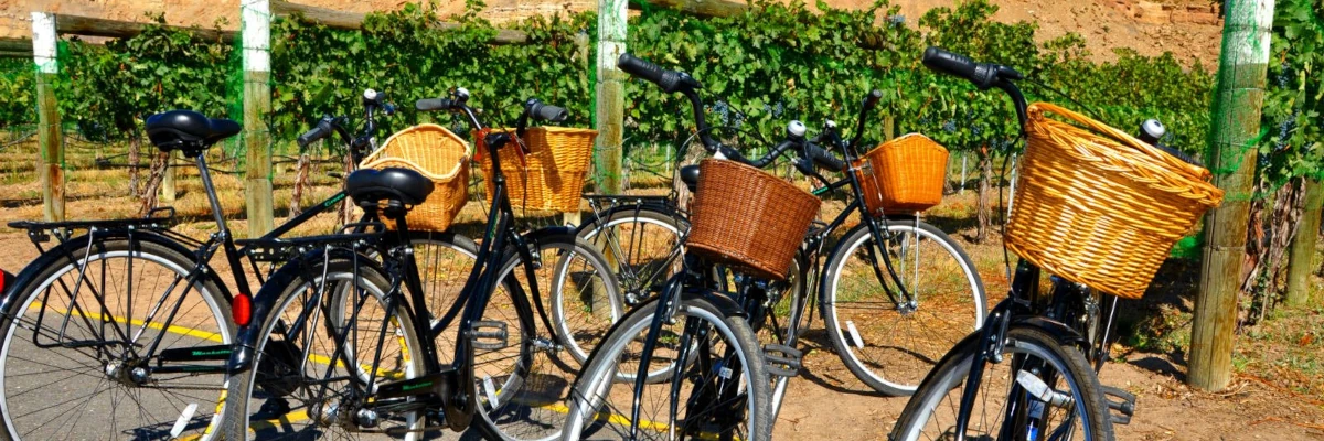 Biking to wineries in Palisade, CO